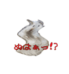mopmopトンガリモップ号sutampu（個別スタンプ：8）