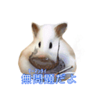 mopmopトンガリモップ号sutampu（個別スタンプ：10）