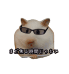 mopmopトンガリモップ号sutampu（個別スタンプ：12）