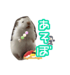 mopmopトンガリモップ号sutampu（個別スタンプ：13）