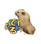 mopmopトンガリモップ号sutampu（個別スタンプ：14）