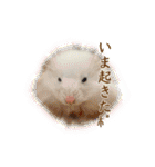 mopmopトンガリモップ号sutampu（個別スタンプ：16）