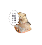 mopmopトンガリモップ号sutampu（個別スタンプ：17）