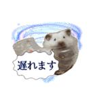 mopmopトンガリモップ号sutampu（個別スタンプ：18）
