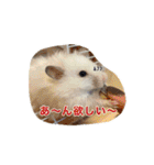 mopmopトンガリモップ号sutampu（個別スタンプ：19）