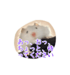 mopmopトンガリモップ号sutampu（個別スタンプ：20）