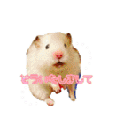 mopmopトンガリモップ号sutampu（個別スタンプ：21）