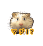 mopmopトンガリモップ号sutampu（個別スタンプ：22）