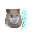 mopmopトンガリモップ号sutampu（個別スタンプ：26）