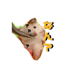mopmopトンガリモップ号sutampu（個別スタンプ：28）