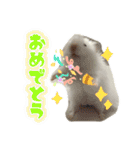 mopmopトンガリモップ号sutampu（個別スタンプ：29）