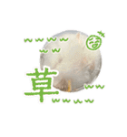 mopmopトンガリモップ号sutampu（個別スタンプ：32）