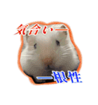 mopmopトンガリモップ号sutampu（個別スタンプ：37）
