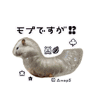 mopmopトンガリモップ号sutampu（個別スタンプ：39）