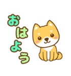 柴犬三兄弟 年中使える大きな文字スタンプ（個別スタンプ：1）