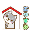 柴犬三兄弟 年中使える大きな文字スタンプ（個別スタンプ：4）