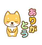 柴犬三兄弟 年中使える大きな文字スタンプ（個別スタンプ：15）