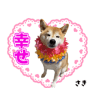 柴犬さきちゃん（個別スタンプ：6）