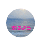 ムンと元気に遊ぼう（個別スタンプ：4）