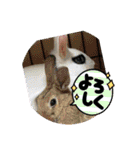 ムンと元気に遊ぼう（個別スタンプ：6）