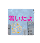 ムンと元気に遊ぼう（個別スタンプ：17）