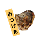 ムンと元気に遊ぼう（個別スタンプ：23）