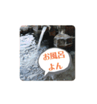 ムンと元気に遊ぼう（個別スタンプ：25）