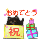 cocode hot time（個別スタンプ：5）