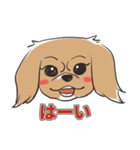 犬のきなこ（個別スタンプ：1）