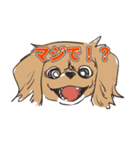 犬のきなこ（個別スタンプ：3）