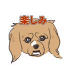 犬のきなこ（個別スタンプ：4）