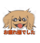 犬のきなこ（個別スタンプ：5）