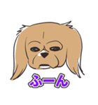犬のきなこ（個別スタンプ：6）