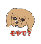 犬のきなこ（個別スタンプ：7）