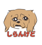 犬のきなこ（個別スタンプ：8）