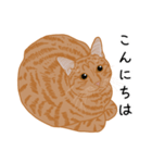 ひねもす茶とらねこ3（個別スタンプ：3）