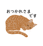 ひねもす茶とらねこ3（個別スタンプ：4）