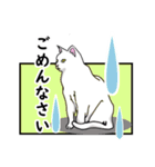 猫の本音です。（個別スタンプ：5）