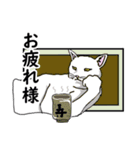 猫の本音です。（個別スタンプ：6）