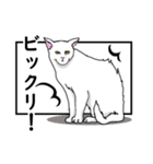 猫の本音です。（個別スタンプ：9）