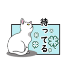 猫の本音です。（個別スタンプ：12）