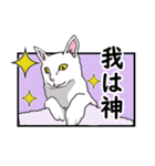 猫の本音です。（個別スタンプ：14）