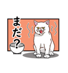 猫の本音です。（個別スタンプ：15）