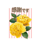 元気な薔薇のメッセージ（個別スタンプ：5）