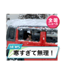 土佐弁チャイルドvol.19（個別スタンプ：3）