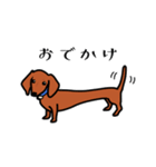 ながい犬、ダックス（個別スタンプ：12）