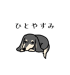 ながい犬、ダックス（個別スタンプ：14）