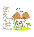 わんこ日和(シーズー)-toYvu-（個別スタンプ：20）