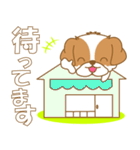 わんこ日和(シーズー)-toYvu-（個別スタンプ：23）