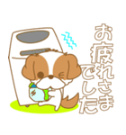 わんこ日和(シーズー)-toYvu-（個別スタンプ：24）